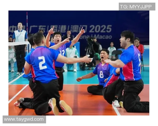 上海排球队在排球个人能力排行榜中荣登第六名展现强大实力与潜力