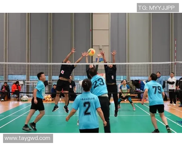 上海排球队选拔赛表现分析团队协作的重要性与提升建议