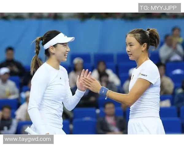 广州网球队的蜕变之旅：全国锦标赛背后的奋斗与坚持