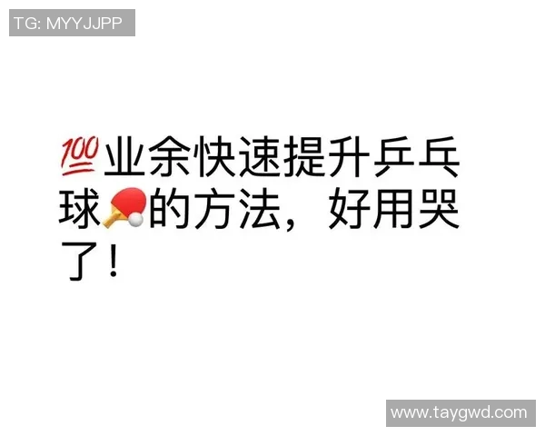 从零基础到乒乓球高手的全面技术提升指南与实战技巧分享