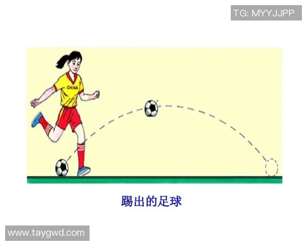 草地足球框的设计与使用技巧探讨提升球技的必备装备