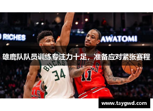 雄鹿队队员训练专注力十足，准备应对紧张赛程