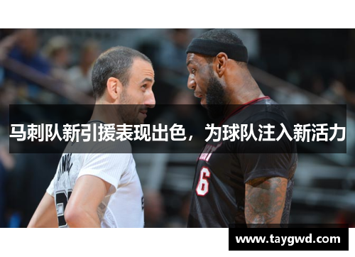 马刺队新引援表现出色，为球队注入新活力