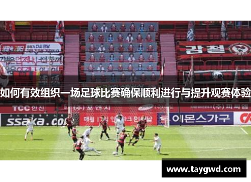 如何有效组织一场足球比赛确保顺利进行与提升观赛体验